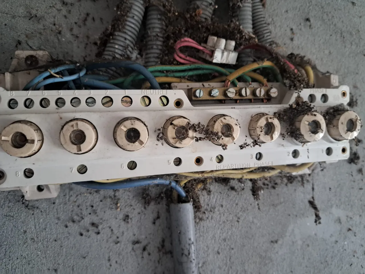 Anciens coupe-circuits à fusibles vétustes sur une installation électrique